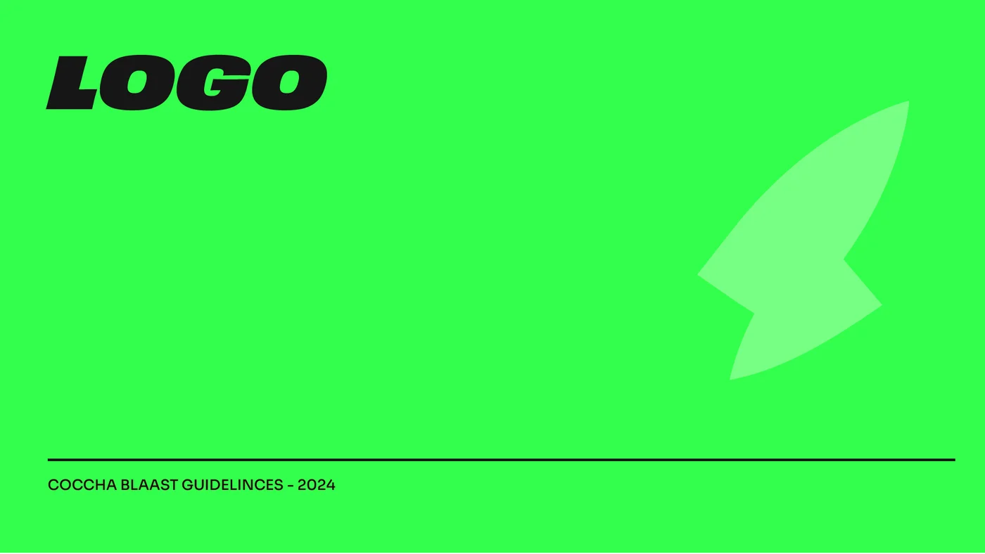 Cochaa Blaast brand book logo section divider